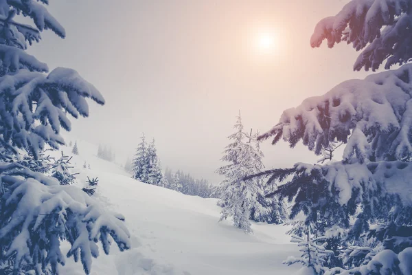 Majestätiska vinterlandskap — Stockfoto