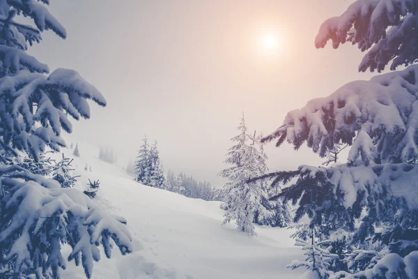 Majestuoso paisaje invernal — Foto de Stock