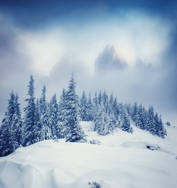 Majestic winter landscape — Stock Photo, Image