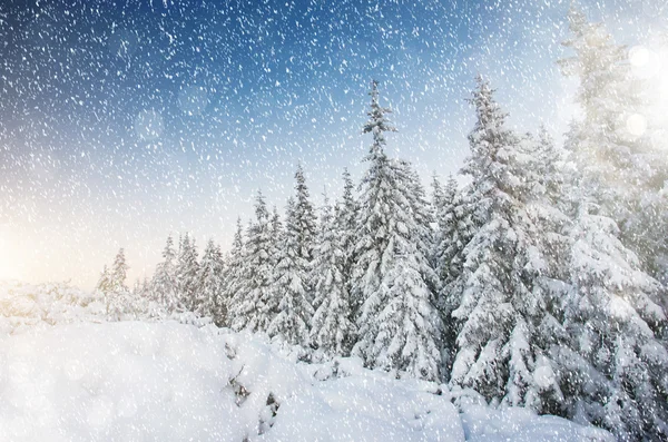 Fantastisch berglandschap — Stockfoto