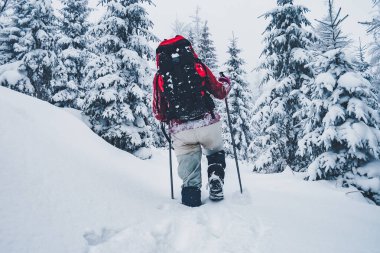 Peri masalı ormanının manzaralı görüntüsü. Kayak merkezinde soğuk bir gün. Carpathian Ulusal Parkı, Ukrayna, Avrupa. Vahşi doğanın resmi. Aktif turizm kavramı. Toprağın güzelliğini keşfedin.