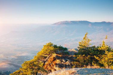 Sabah ışığında manzaralı bir vadi resmi. Kırım, Kırım Yarımadası, Ukrayna, Avrupa. Mükemmel duvar kağıtları. Toprağın güzelliğini keşfedin. Vahşi bölgenin harika bir fotoğrafı. Aktif turizm kavramı.