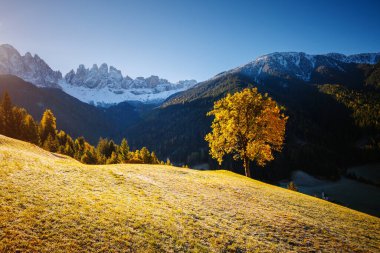 Odle Range ile St. Magdalena köyünde sabah. Val di Funes (Villnob), Dolomite Alpleri, Trentino-Alto Adige, İtalya, Avrupa. Kırsal bölgenin manzaralı görüntüsü. Toprağın güzelliğini keşfedin.