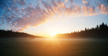 Güneş ışığında çekici, sisli bir çayır. Durmitor Ulusal Parkı, Zabljak köyü, Karadağ, Balkanlar, Avrupa. Sabah Alp Vadisi 'nin manzarası. Toprağın güzelliğini keşfedin.