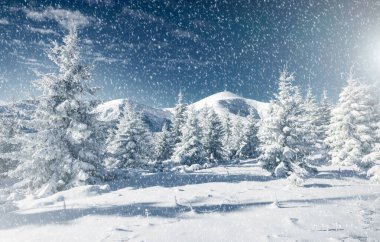 Sabahları büyüleyici kış manzarası. Karpatlar 'ın yeri, Ukrayna, Avrupa. Bokeh ışığı etkisi. Instagram tonlama filtresi. Kayak merkezi. Egzotik kış manzarası. Muhteşem kış duvar kâğıdı. Mutlu yıllar.!