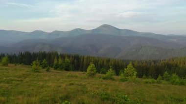 Kuş bakışı vahşi dağların muhteşem görüntüleri var. Yeri Karpatya Ulusal Doğa Parkı, Ukrayna, Avrupa. Sinematik drone çekimi. UHD 4k video 'da çekildi. Toprağın güzelliği.