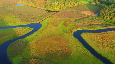 Bataklık nehrinin kuş bakışı görüntüsü göz kamaştırıcı. Mekan Polissya bölgesi, Ukrayna, Avrupa. Sinematik drone çekimi. UHD 4k video 'da çekildi. Dünyanın güzelliğini keşfedin.