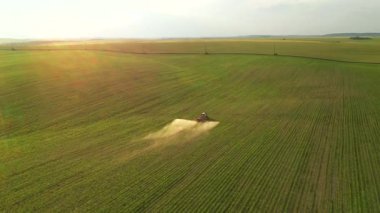 Gün batımında soya tarlası otlarını ilaçlayan bir tarım traktörünün hava görüntüleri. Ukrayna, Avrupa 'nın tarım bölgesi. Sinematik drone çekimi. UHD 4k video 'da çekildi. Güzel toprak.