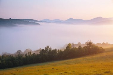 Güneşli bir günde harika dağlık araziler. Karpat Dağları, Ukrayna, Avrupa. Kırsal bir bölgenin resmi. Yürüyüş konseptinin manzaralı görüntüsü. Çekici yaz manzarası. Toprağın güzelliğini keşfedin.