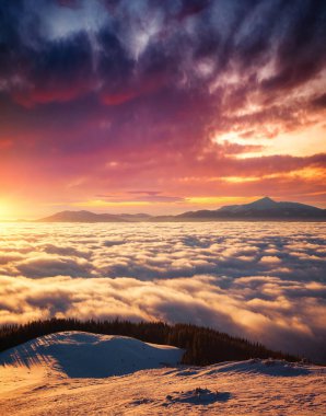 Yoğun sisle kaplı vadinin fantastik hava manzarası. Karpat Dağı, Ukrayna, Avrupa. Sihirli kış sahnesi. Muhteşem kış duvar kâğıdı. Mutlu yıllar! Toprağın güzelliğini keşfedin.