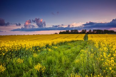 Dramatik bulutlu gökyüzü sahasında