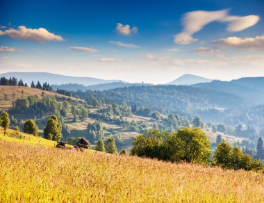 Sabah bulutlu gökyüzü altında güneşli hills