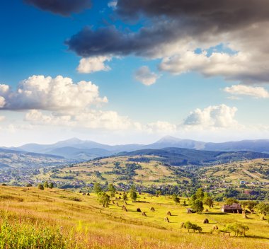 Harika sarı tepeler