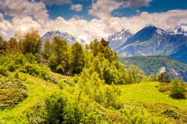 Majestic alpine meadows görünümünü