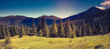 sabah gökyüzü altında güneşli hills.