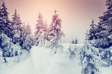 Harika akşam kış manzarası.