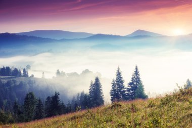 sabah gökyüzü altında güneşli hills.