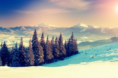 Sabah güneş ışığı altında inanılmaz dağlar.