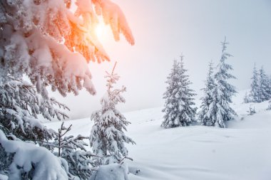 Dramatic wintry landscape