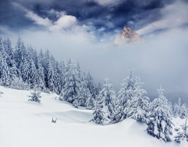 Dramatic wintry landscape