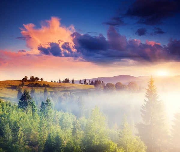 Soleggiate colline sotto il cielo nuvoloso mattina — Foto Stock