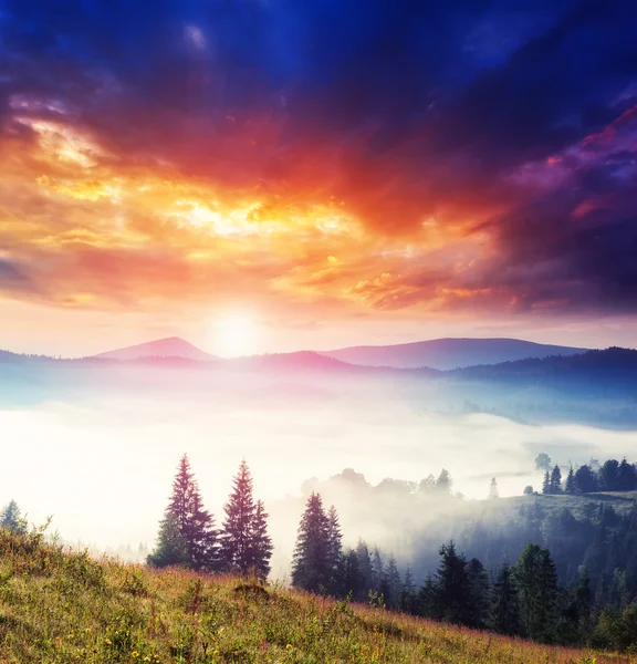 Collines ensoleillées sous le ciel nuageux du matin. — Photo