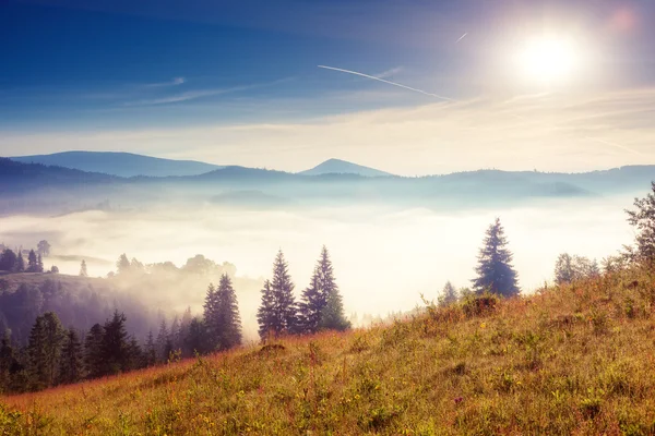 Zonnige heuvels onder ochtend hemel. — Stockfoto