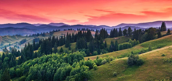 Schönen grünen Hügeln in der Abenddämmerung. — Stockfoto