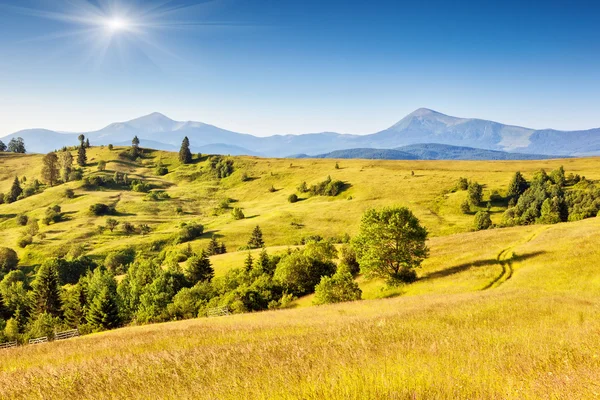 Fantastische gelbe Hügel — Stockfoto