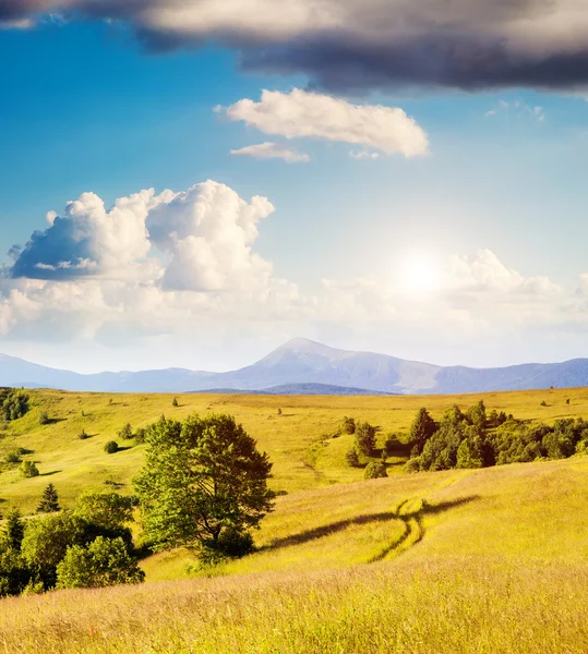 Fantastisch zonnige heuvels — Stockfoto