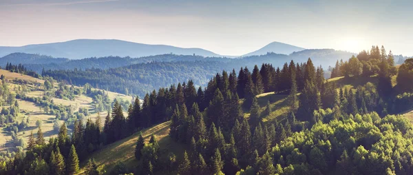 Fantastiska gröna kullar — Stockfoto