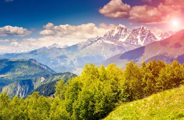 Weergave van alpenweiden met blauwe hemel — Stockfoto