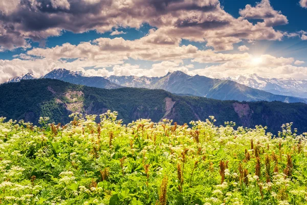 Vue sur les prairies alpines avec un ciel bleu — Photo