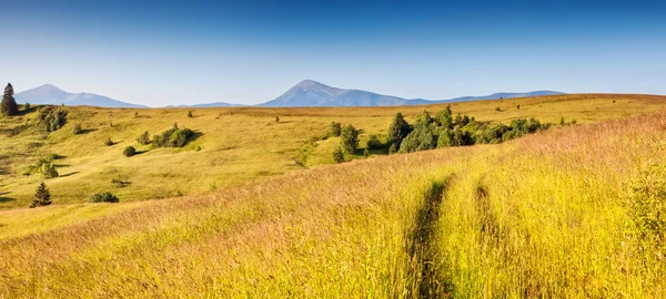 Fantastické žluté hory — Stock fotografie