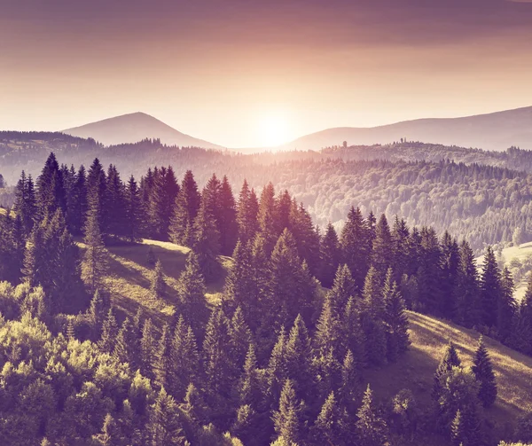 Fantastische sonnige Hügel — Stockfoto