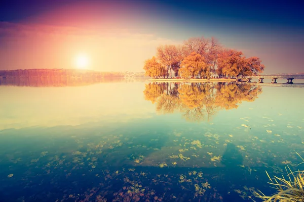 Сонячний день на озері . — стокове фото