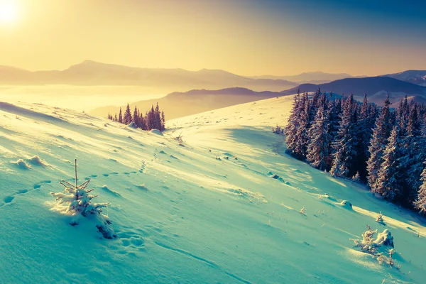 Amazing mountains in the morning sunlight. — Stock Photo, Image