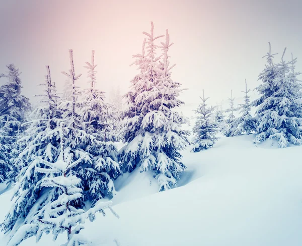 Increíble paisaje de invierno por la noche . — Foto de Stock