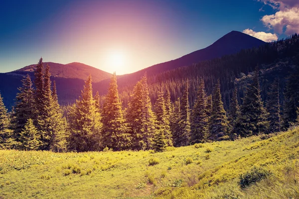 Fantastische sonnige Hügel — Stockfoto