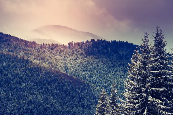 Incrível paisagem de inverno à noite . — Fotografia de Stock