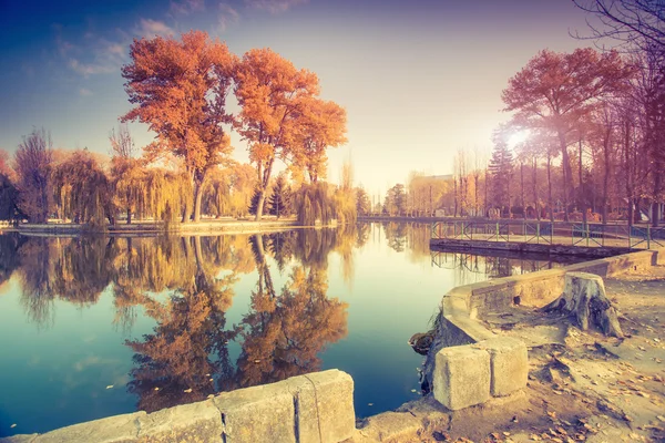 湖の幻想的な晴れた日 — ストック写真