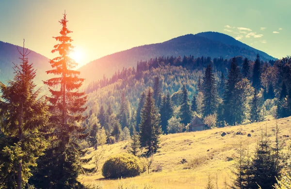 Majestueuze bergen in de ochtendzon. — Stockfoto