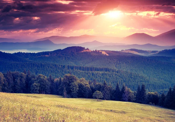 Soliga kullar under morgonen mulen himmel. — Stockfoto