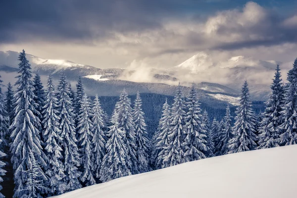 驚くほどの冬景色 — ストック写真