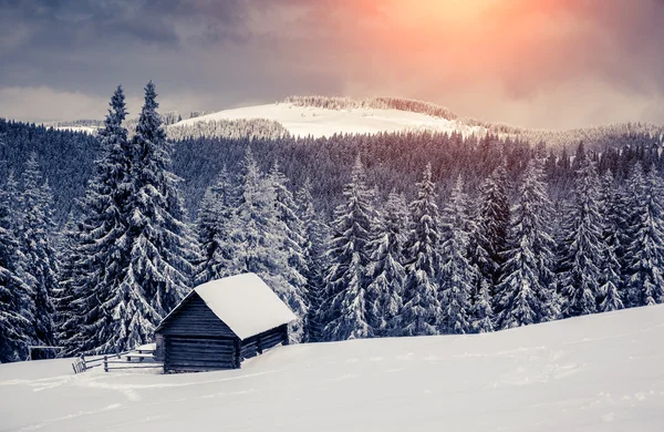 Fantastiskt vinterlandskap — Stockfoto