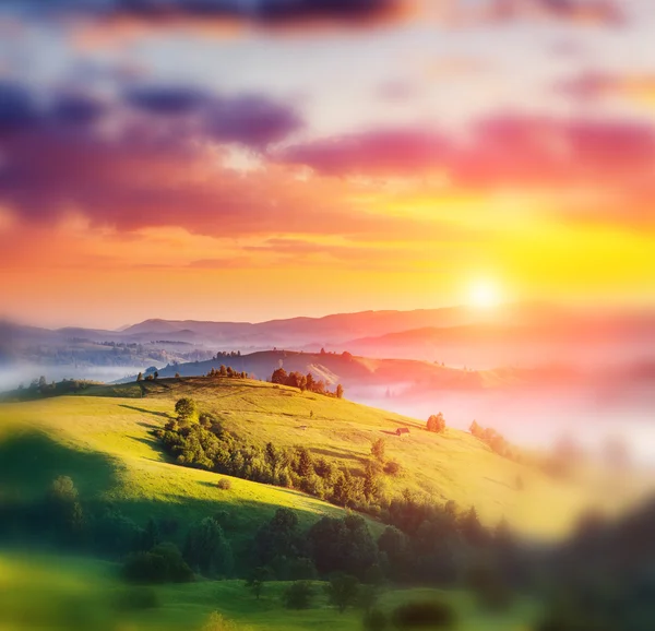 Majestic sunset in the mountains landscape. — Stock Photo, Image