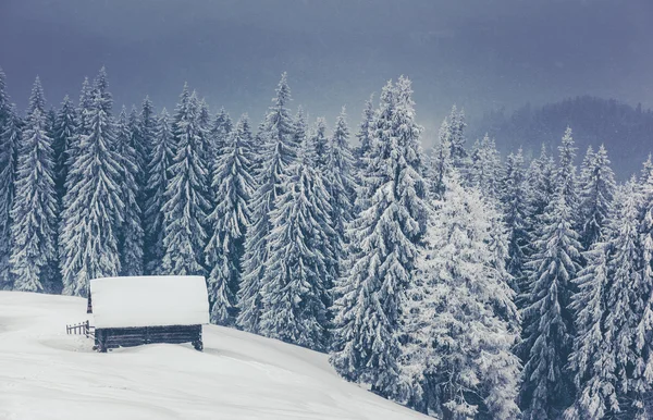 Fantastiskt vinterlandskap — Stockfoto