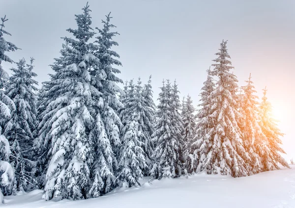 Incredibile paesaggio invernale — Foto Stock