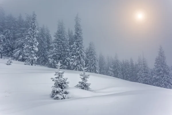 Καταπληκτικό χειμερινό τοπίο — Φωτογραφία Αρχείου