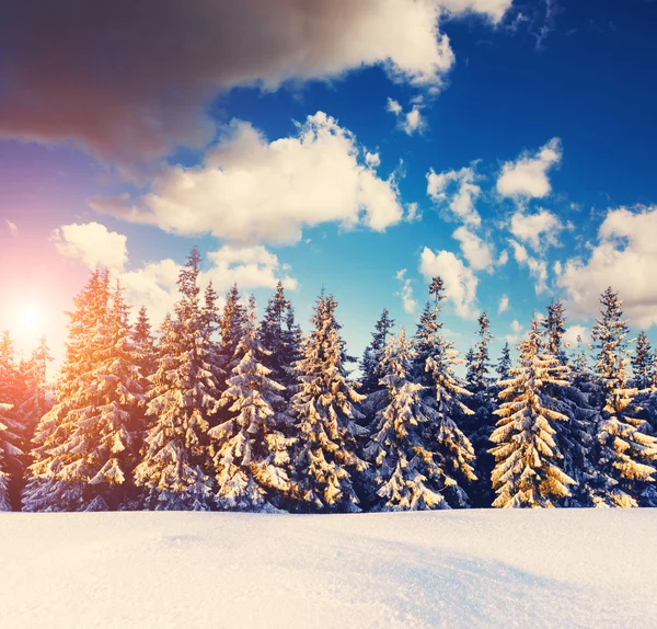Maestoso paesaggio invernale — Foto Stock